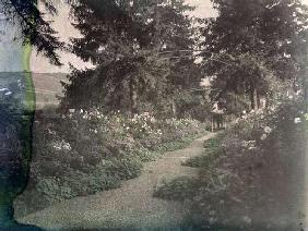 Path in Monet's Garden at Giverny, early 1920s (photo) C19th