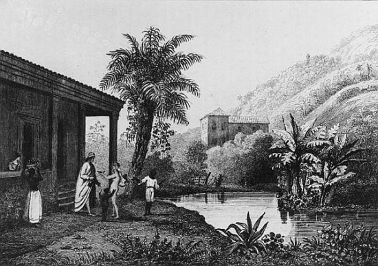 Coffee Plantation,from ''Bresil, Columbie et Guyanes'' Ferdinand Denis and Cesar Famin 1837 von French School