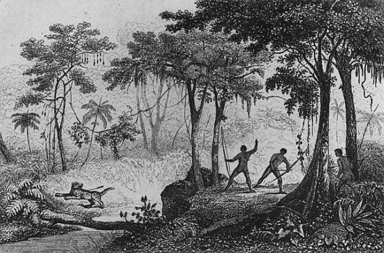 Jaguar Hunt, from ''Bresil, Columbie et Guyanes'' Ferdinand Denis and Cesar Famin 1837 (engraving) von French School