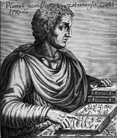 Pliny the Elder (23-79 AD) von French School