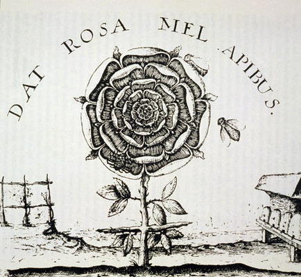 Rosicrucian Allegory, copy of an engraving by Johann Theodore de Bry (c.1598), used in a 'History of von French School, (16th century) (after)