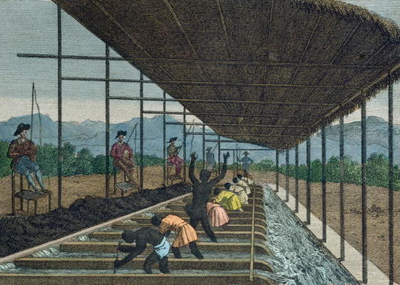 Slaves washing 'cascalho' as part of the diamond mining process in Brazil, 1811 (coloured engraving) von French School, (19th century)