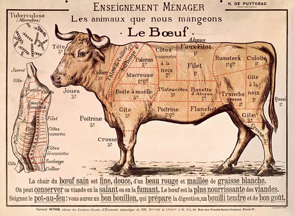 Beef: diagram depicting the different cuts of meat (colour litho) von French School, (20th century)