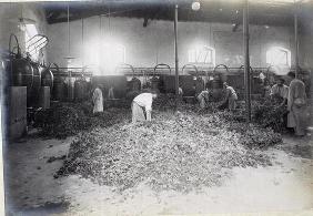 Distillation of Geranium, from 'Industrie des Parfums a Grasse', c.1900 (photo) 19th