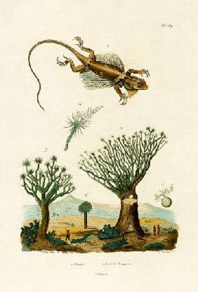 Flying Dragon 1833-39