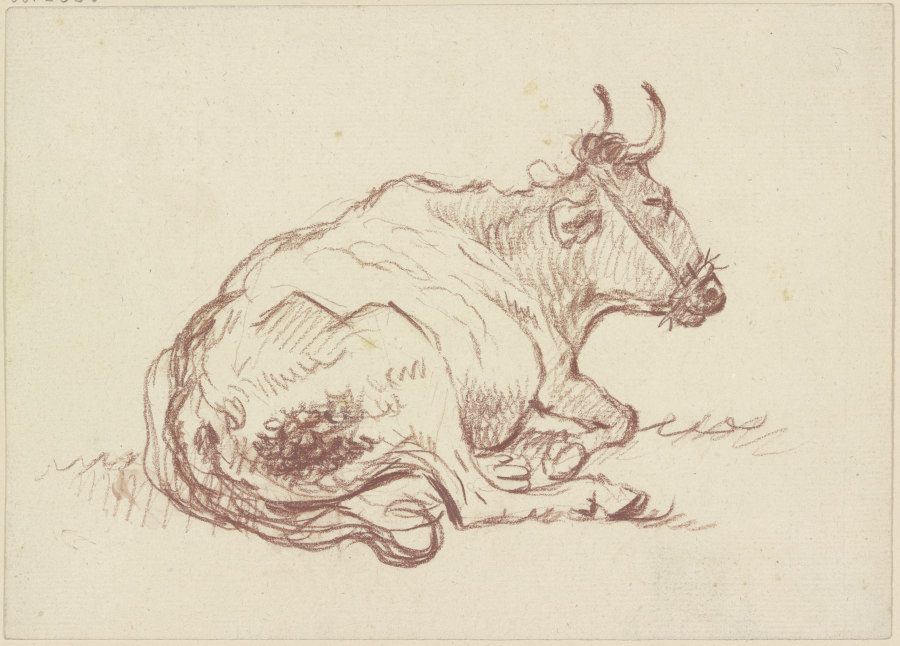 Liegende Kuh nach rechts von Friedrich Wilhelm Hirt