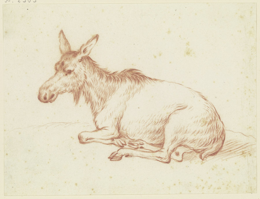 Liegender Esel nach links von Friedrich Wilhelm Hirt