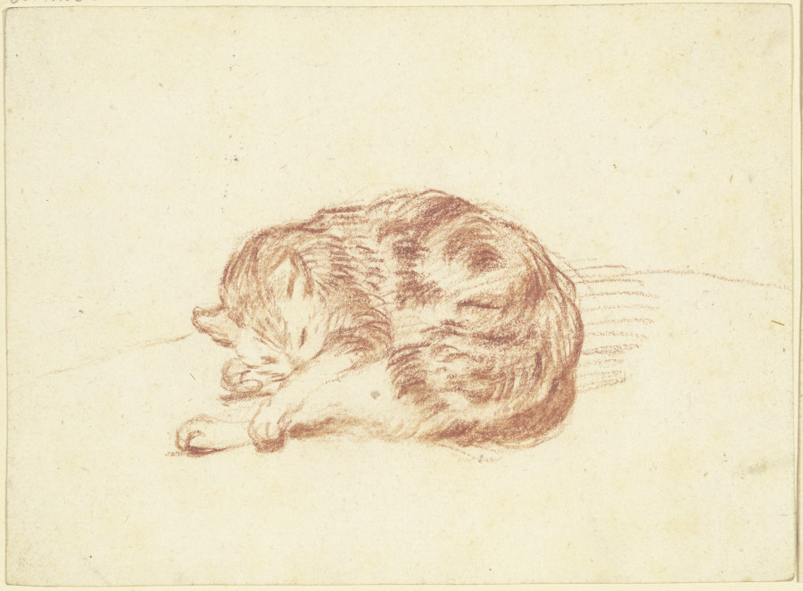 Schlafende Katze von Friedrich Wilhelm Hirt