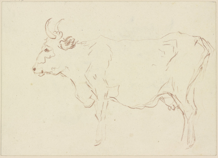 Stehende Kuh nach links von Friedrich Wilhelm Hirt