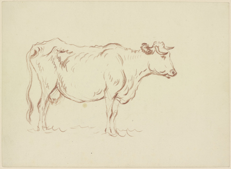 Stehende Kuh nach rechts von Friedrich Wilhelm Hirt