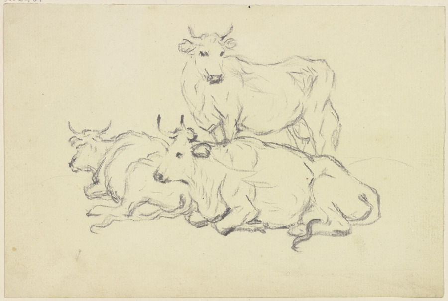 Zwei liegende und ein stehendes Rind von Friedrich Wilhelm Hirt
