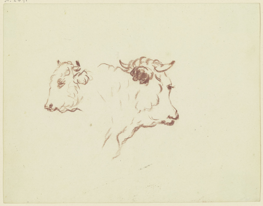 Zwei Rinderköpfe von Friedrich Wilhelm Hirt