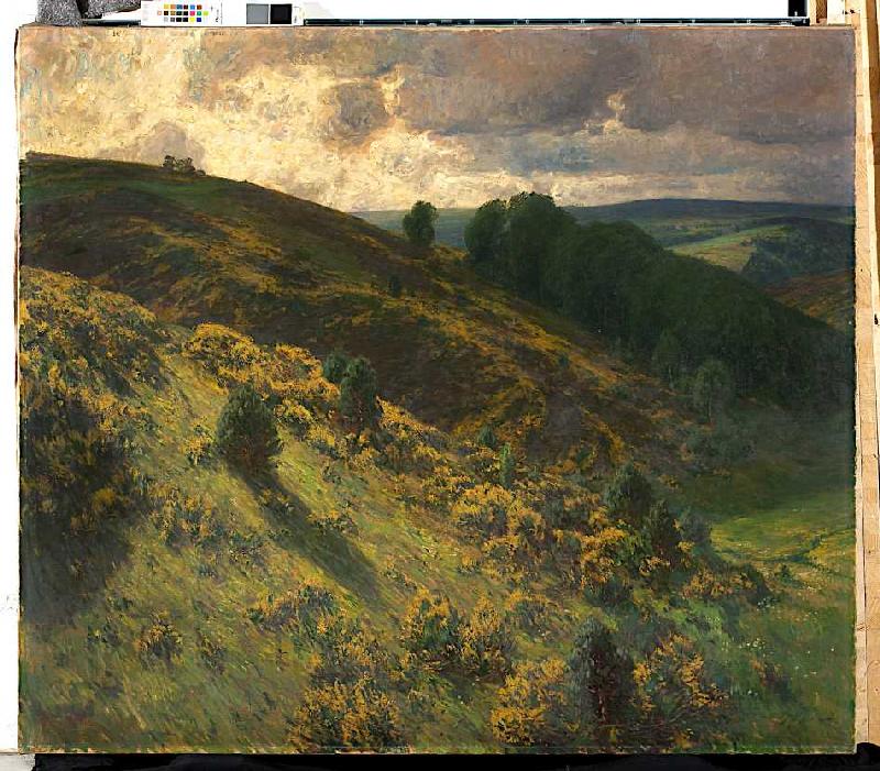 Eifelgold (Schleidener Tal in der Ginsterblüte) von Fritz von Wille