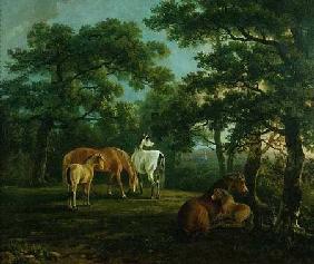 Horses in a Landscape