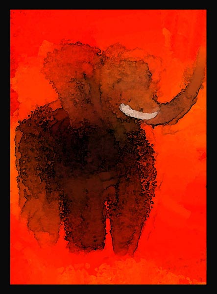 Fun Elephant 4 von David Ganssi
