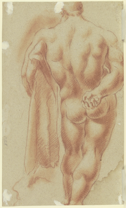 Herkules Farnese von Gaspare Diziani