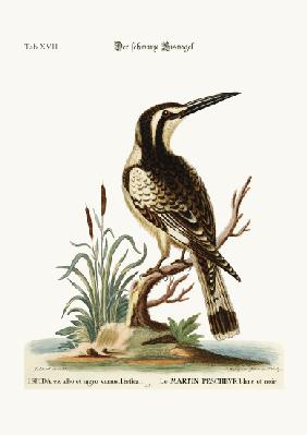 The black and white Kingfisher 1749-73