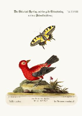 The Scarlet Sparrow and the Yellow Swallow-tailed Butterfly 1749-73