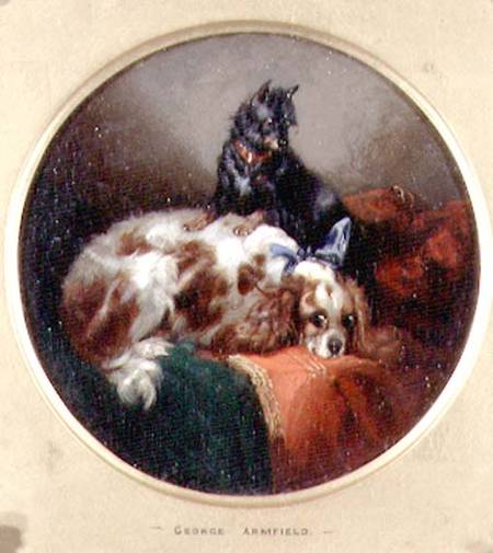 Blenheim Spaniel and Terrier von George Armfield