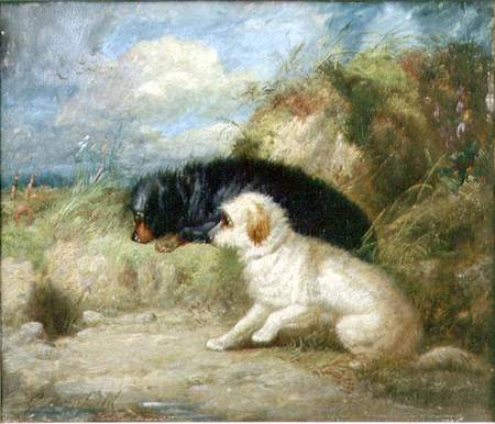 Terriers by a Rabbit Hole von George Armfield