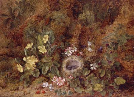 Still Life with Bird's Nest and Wild Flowers von George Clare