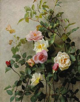 Roses on a Wall 1877