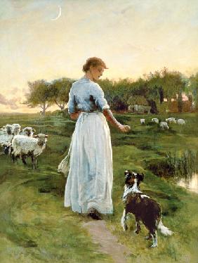 A Shepherdess with her Dog and Flock in a Moonlit Meadow
