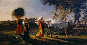 Italian Peasant Women in the Campagna driving an Ox (oil on canvas) 20th