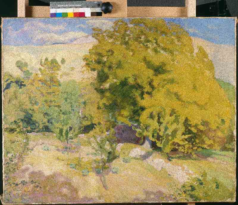 Landschaft, Conflent von Georges-Daniel de Monfreid