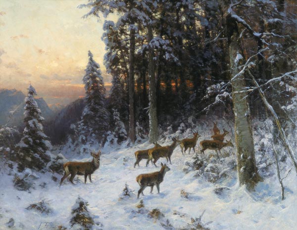 A winter evening in the Black Forest von German School