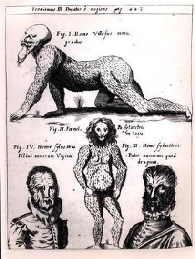 'Hairy man and Wild man', illustration from 'Physica Curiosa' by Gaspar Schott (1608-66) (engraving) 17th