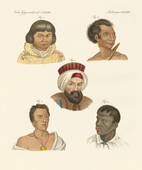 Illustration of the main human races von German School, (19th century)