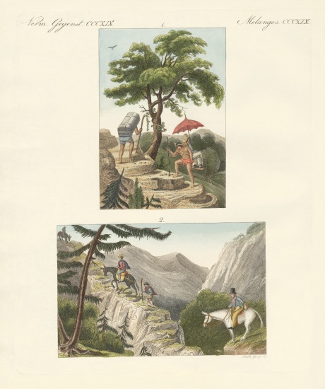 The Pass of Honda on the way to Bogota and the Pass of Quindio von German School, (19th century)