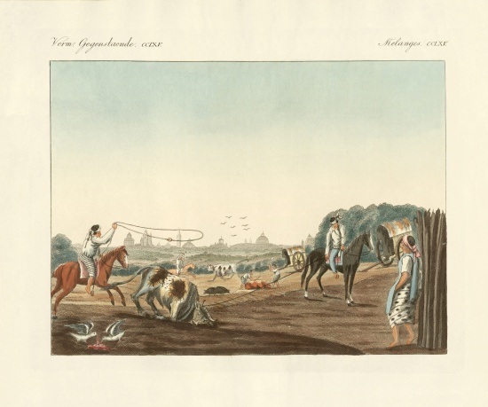 The South of Matadero, one of the public slaughterhouses of Buenos Aires von German School, (19th century)