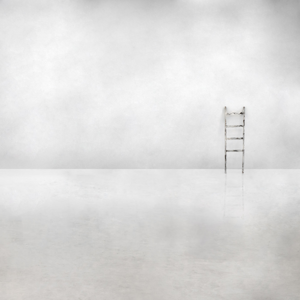 The social ladder von Gilbert Claes