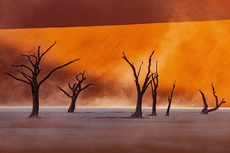 Namibia: Der Geist der Wildnis