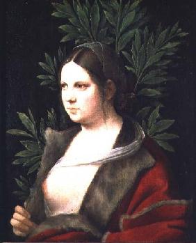 Portrait of a Young Woman (Laura) 1506