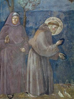 Der hl. Franziskus predigt den Voegeln 1295