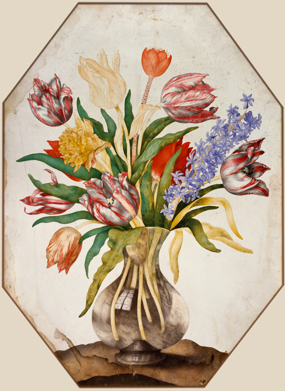 Tulpen und Hyazinthe von Giovanna Garzoni