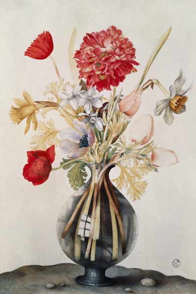 Blumenvase mit Narzissen, Nelken und Anemonen von Giovanna Garzoni