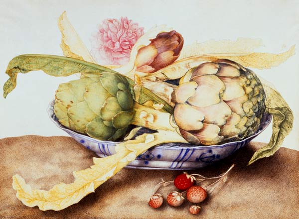 G.Garzoni / Bowl of Artichokes / c.1650 von Giovanna Garzoni