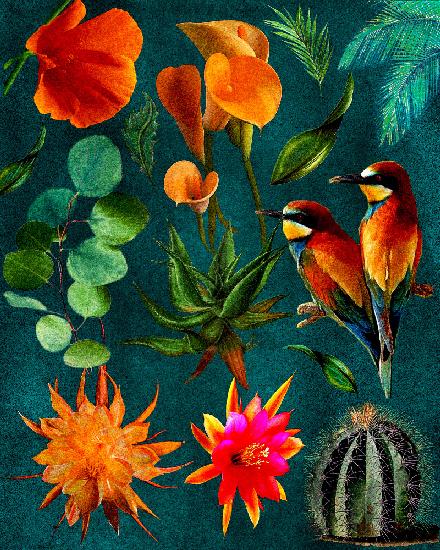 Kaktus-Collage.png
