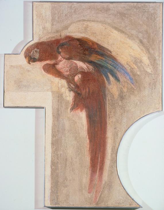 Papagei von Giovanni Domenico Tiepolo