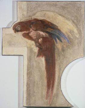 G.D.Tiepolo, Papagei