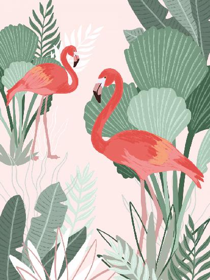 Flamingo-Träume