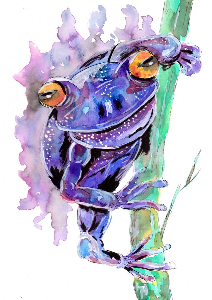 Purple Frog von Sebastian  Grafmann