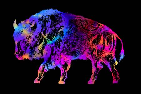 Rainbow Buffalo on Black 2020