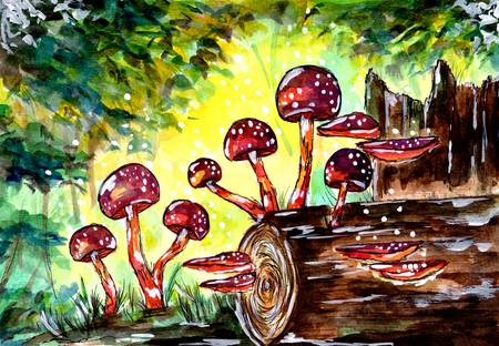 Red Mushrooms in the Forest 2020