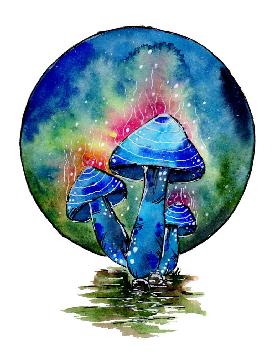 Toxic Blue Mushrooms 2019