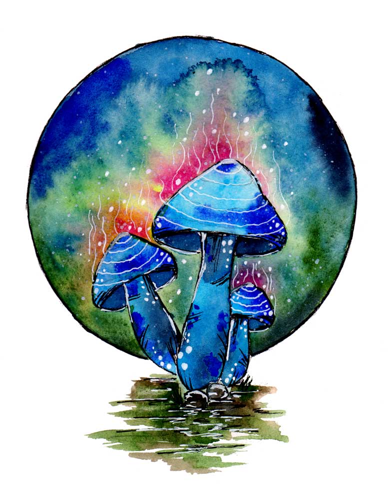 Toxic Blue Mushrooms von Sebastian  Grafmann
